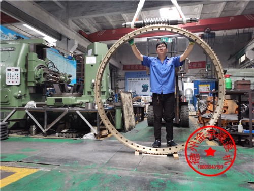 精密回轉(zhuǎn)大蝸輪海洋平臺專用